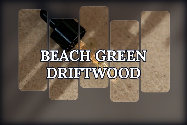 Beach - Green Driftwood