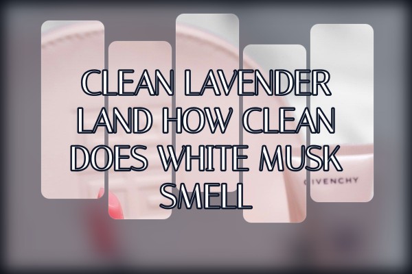Clean Lavender Land how clean does white musk smell