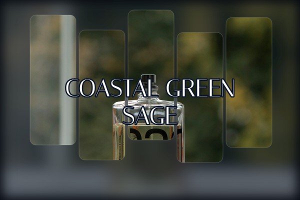 Coastal - Green Sage