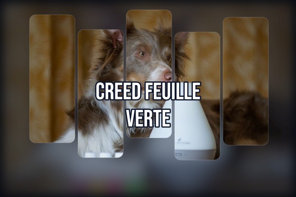 Creed - Feuille Verte
