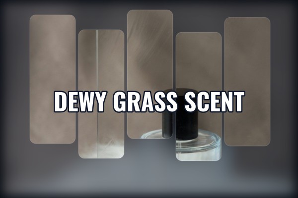 dewy grass scent