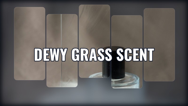 dewy grass scent