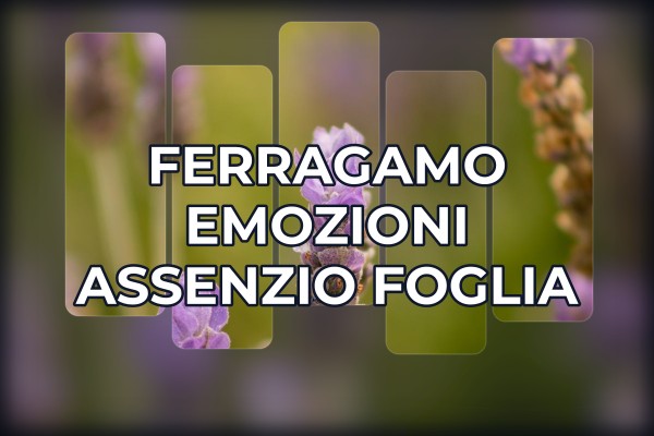Ferragamo - Emozioni Assenzio Foglia