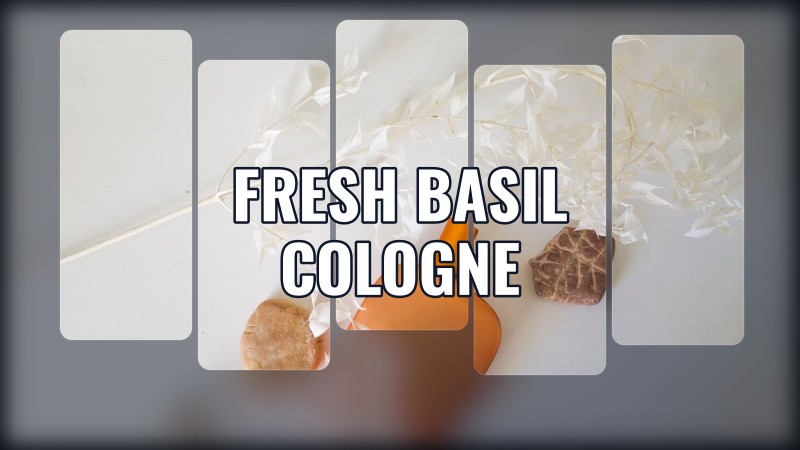 fresh basil cologne