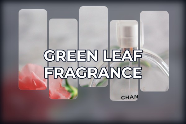 green leaf fragrance