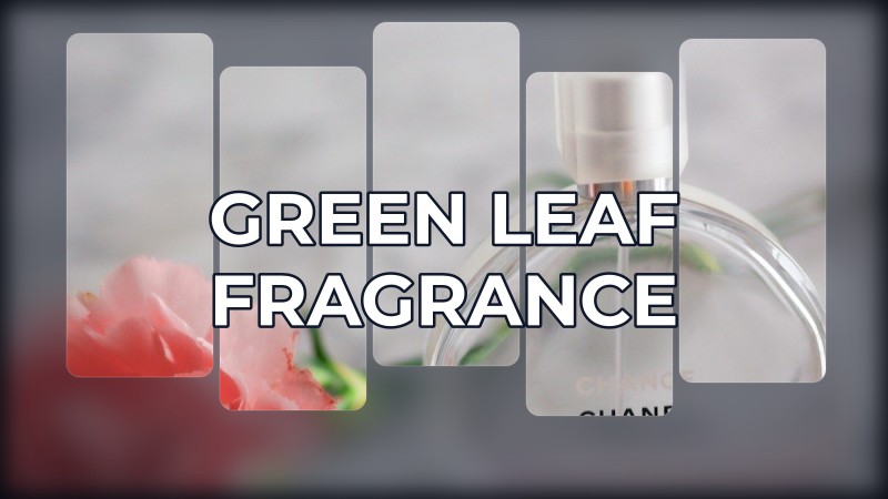 green leaf fragrance