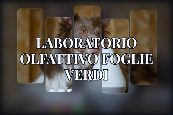 Laboratorio Olfattivo - Foglie Verdi