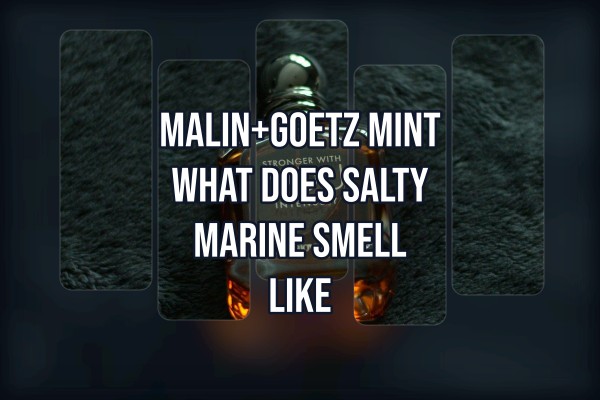 Malin+Goetz Mint what does salty marine smell like