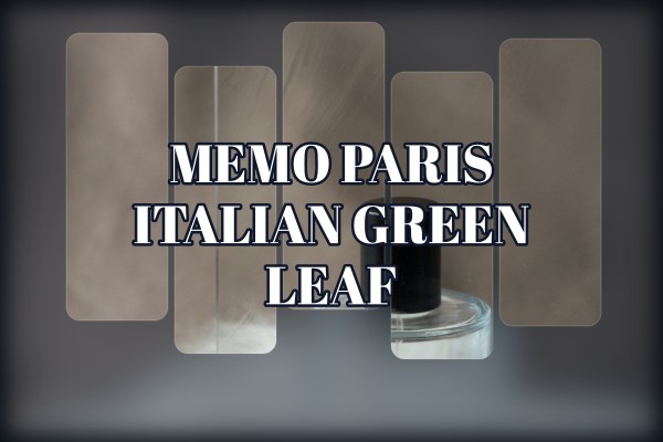 Memo Paris - Italian Green Leaf