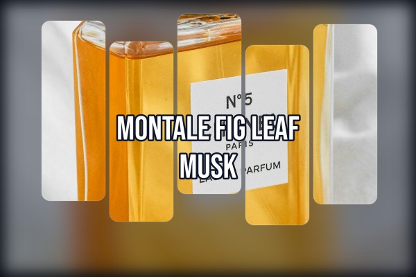 Montale - Fig Leaf Musk