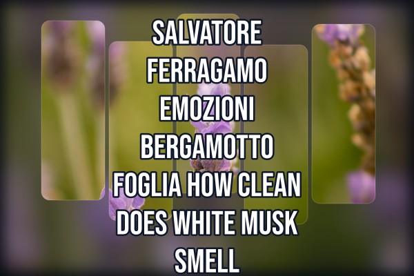 Salvatore Ferragamo Emozioni Bergamotto Foglia how clean does white musk smell