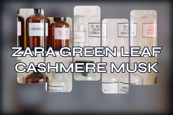 Zara - Green Leaf Cashmere Musk